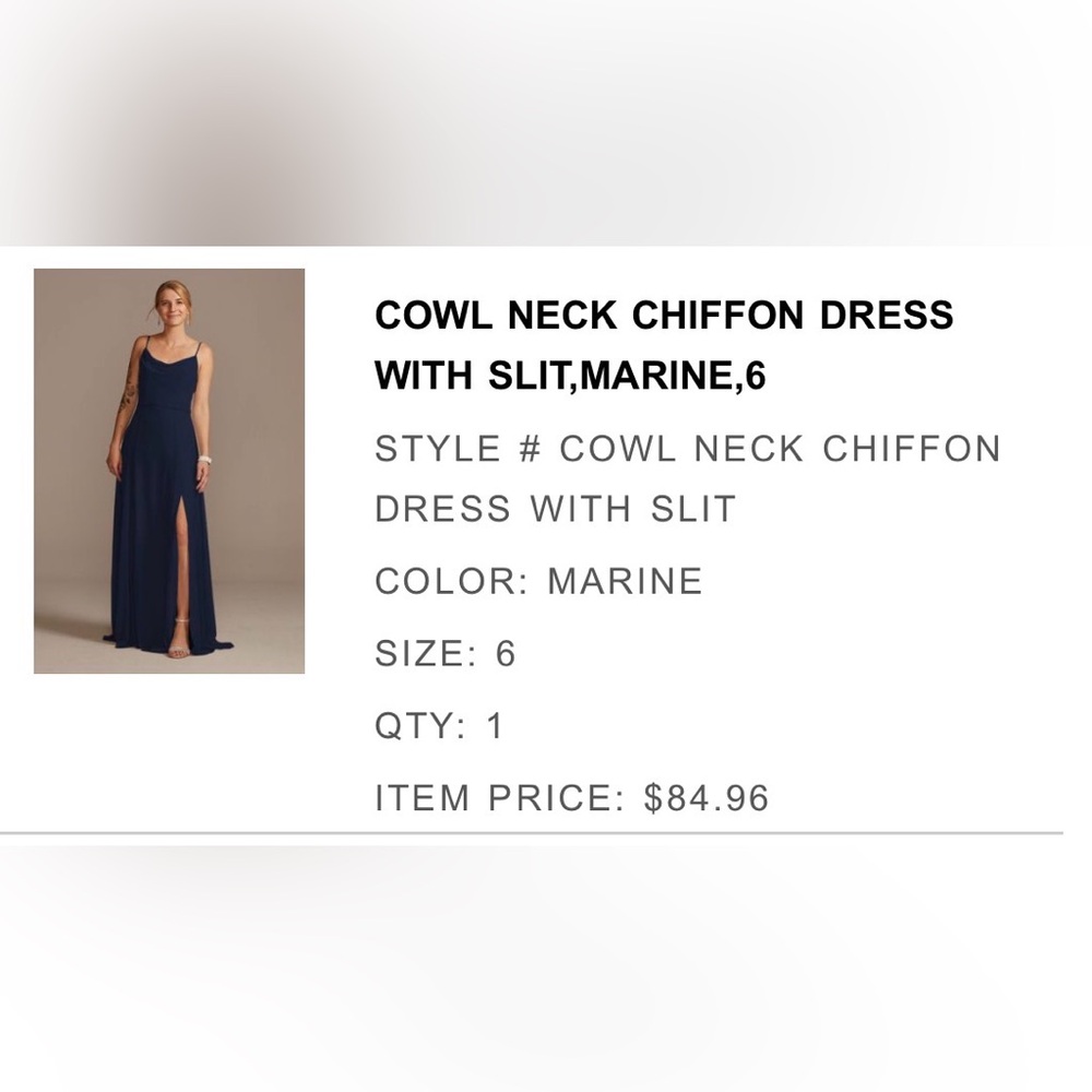David's Bridal Marine Cowl Neck Chiffon Dress